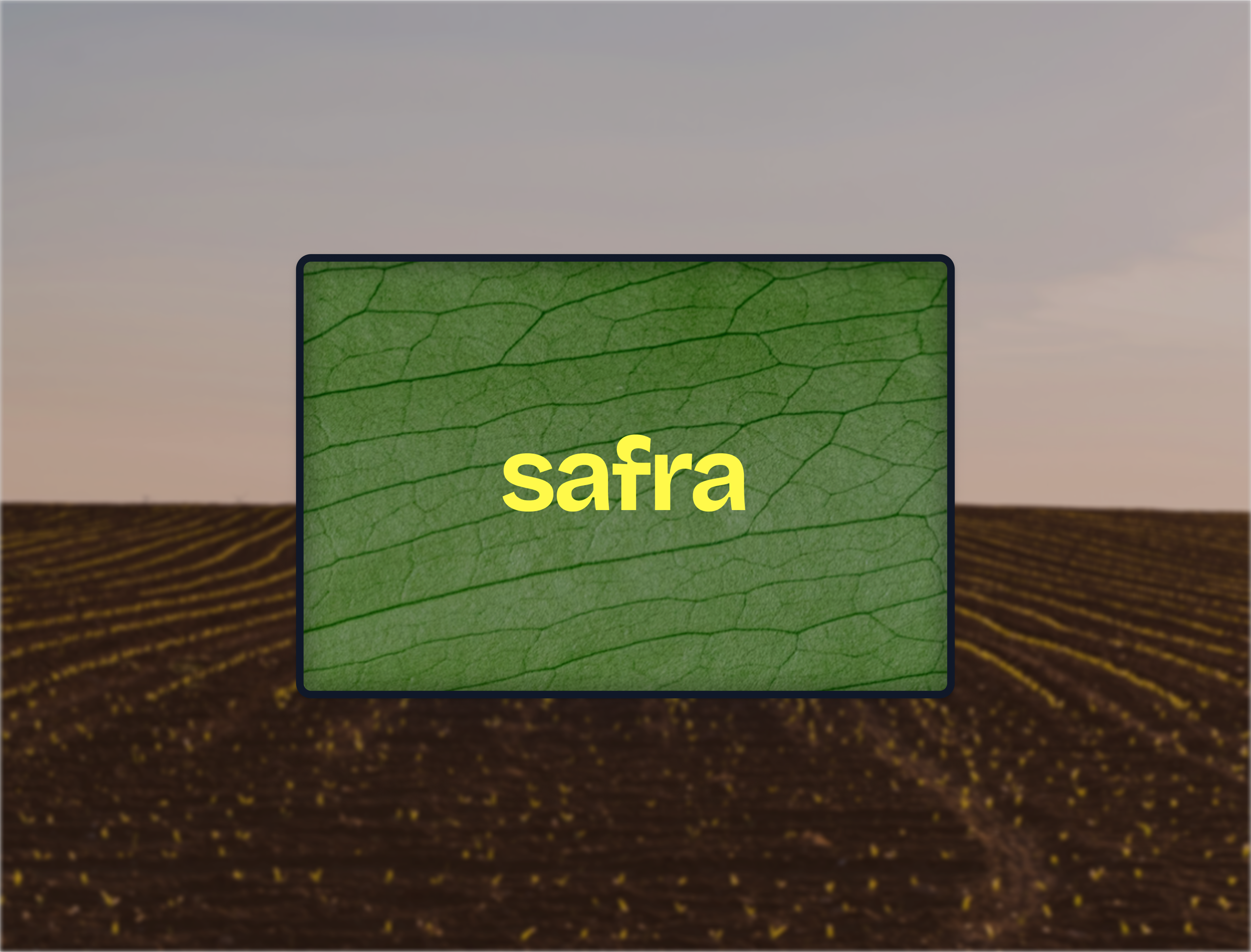 Safra, a sunset-lit Brazilian crop field with a centred card showing a soy leaf texture and the 'safra' wordmark in yellow.